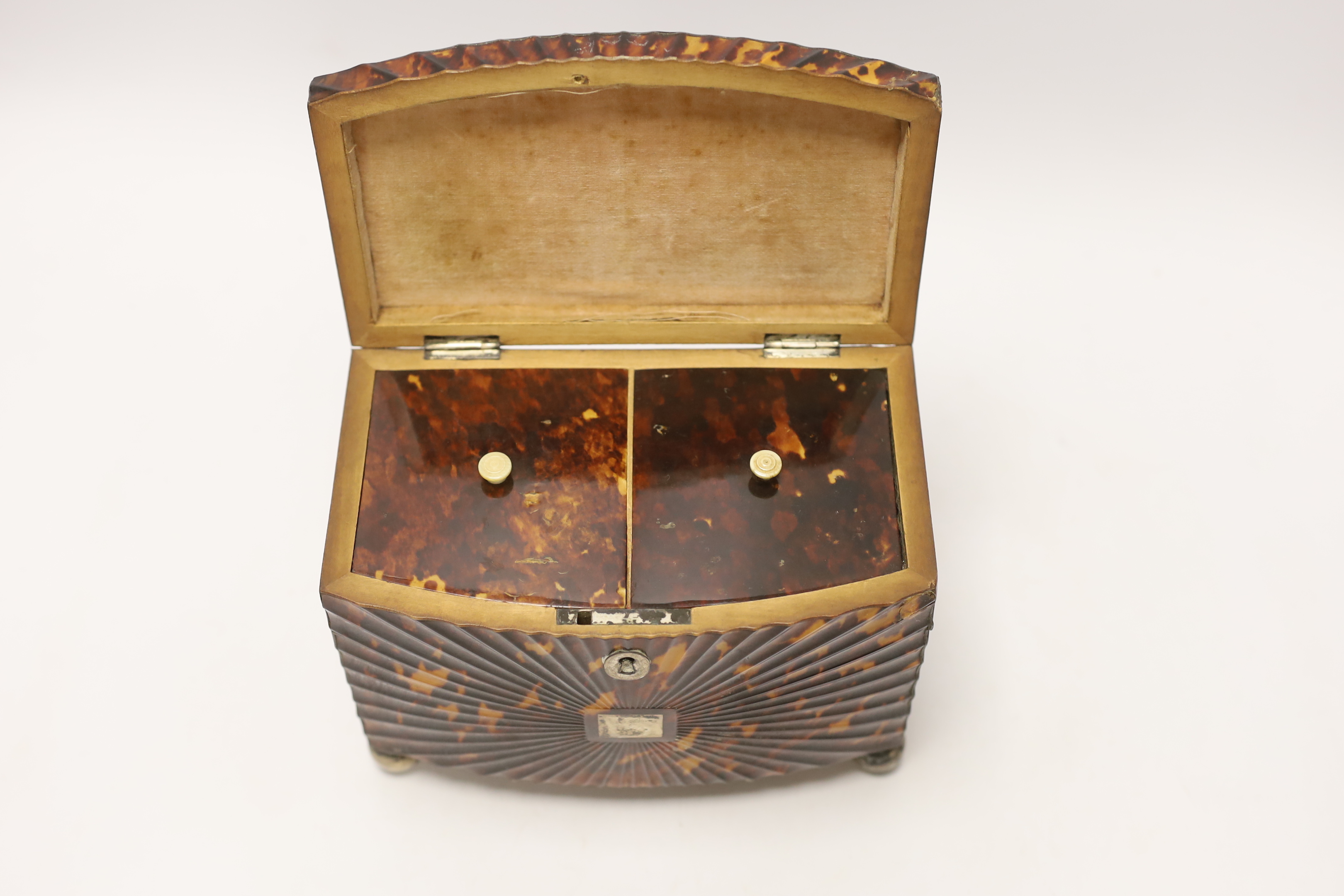 A Regency tortoiseshell tea caddy, with fluted paterae bowfront, 17cm high, 18cm wide, 10cm deep